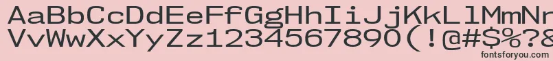 Nk57MonospaceExRg Font – Black Fonts on Pink Background