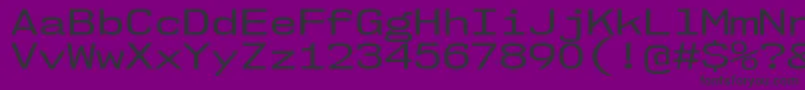 Nk57MonospaceExRg Font – Black Fonts on Purple Background