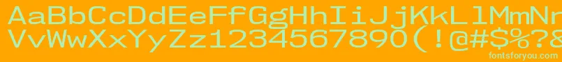 Nk57MonospaceExRg Font – Green Fonts on Orange Background