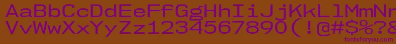 Nk57MonospaceExRg Font – Purple Fonts on Brown Background