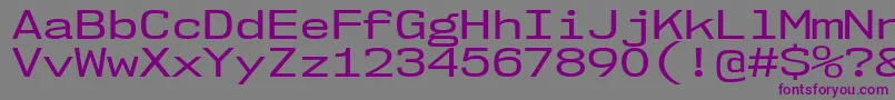 Nk57MonospaceExRg Font – Purple Fonts on Gray Background
