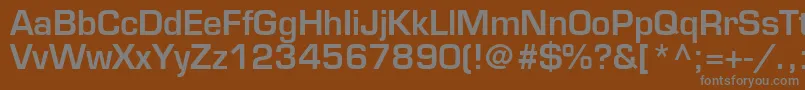 Square721DmNormal Font – Gray Fonts on Brown Background