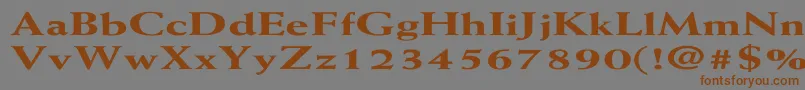 More about WeissExtraboldEx Font WeissExtraboldEx Font – Brown Fonts on Gray Background