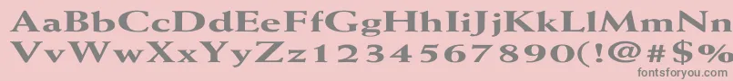WeissExtraboldEx Font – Gray Fonts on Pink Background
