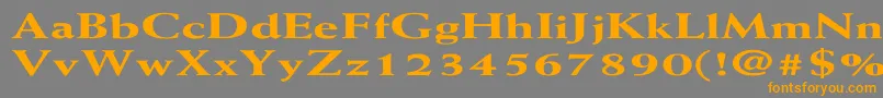 More about WeissExtraboldEx Font WeissExtraboldEx Font – Orange Fonts on Gray Background