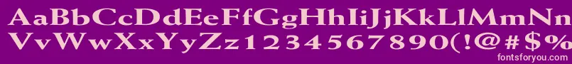 WeissExtraboldEx Font – Pink Fonts on Purple Background