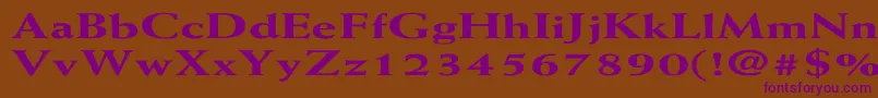 WeissExtraboldEx Font – Purple Fonts on Brown Background
