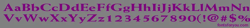 WeissExtraboldEx Font – Purple Fonts on Gray Background