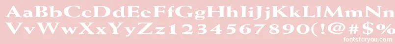 WeissExtraboldEx Font – White Fonts on Pink Background