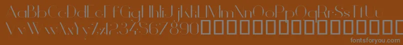 VanityLightWide Font – Gray Fonts on Brown Background