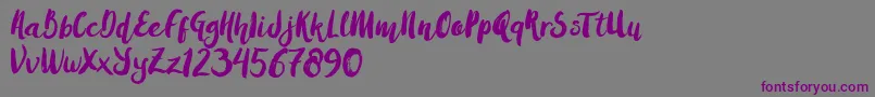 AmulhedBrushDemo-Schriftart – Violette Schriften auf grauem Hintergrund