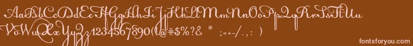 AcquestScript Font – Pink Fonts on Brown Background