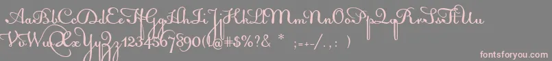 フォントAcquestScript – 灰色の背景にピンクのフォント