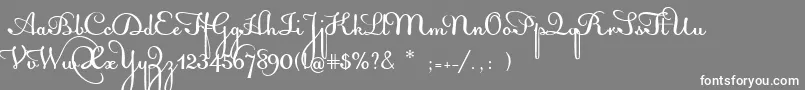 AcquestScript Font – White Fonts on Gray Background