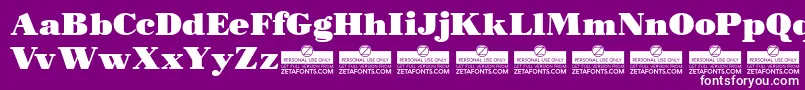 MorbodoniTrial Font – White Fonts on Purple Background