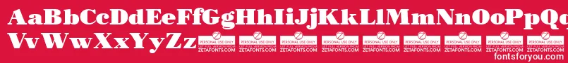MorbodoniTrial Font – White Fonts on Red Background