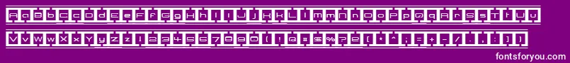 BorderBaseFuture Font – White Fonts on Purple Background