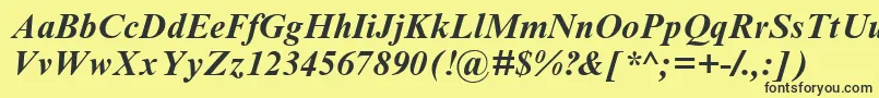 TimesNrCyrMtBoldInclined Font – Black Fonts on Yellow Background