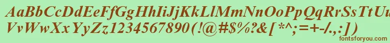 TimesNrCyrMtBoldInclined Font – Brown Fonts on Green Background