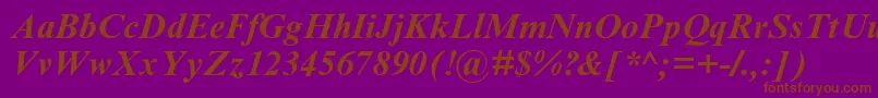 TimesNrCyrMtBoldInclined Font – Brown Fonts on Purple Background