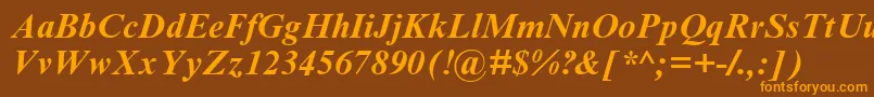 TimesNrCyrMtBoldInclined Font – Orange Fonts on Brown Background