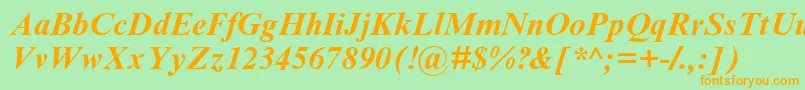 TimesNrCyrMtBoldInclined Font – Orange Fonts on Green Background