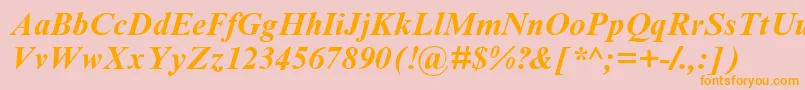 TimesNrCyrMtBoldInclined Font – Orange Fonts on Pink Background