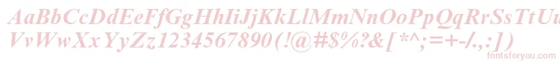 TimesNrCyrMtBoldInclined Font – Pink Fonts