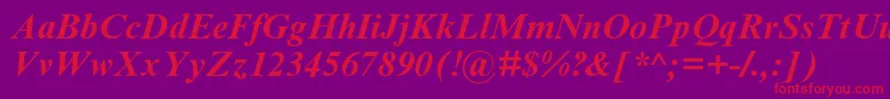 TimesNrCyrMtBoldInclined Font – Red Fonts on Purple Background