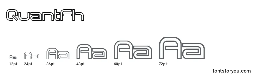 Quantfh Font Sizes