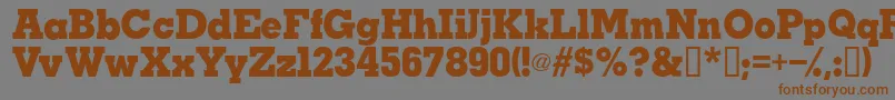 More about TaralanesskBold Font TaralanesskBold Font – Brown Fonts on Gray Background