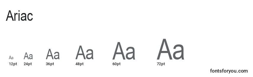 Размеры шрифта Ariac