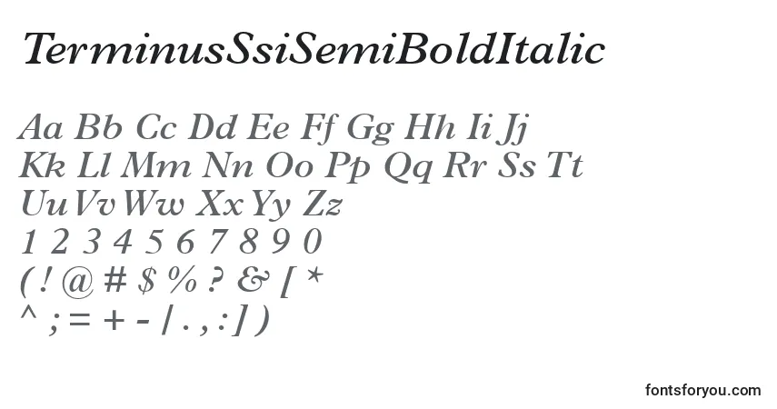 Schriftart TerminusSsiSemiBoldItalic – Alphabet, Zahlen, spezielle Symbole