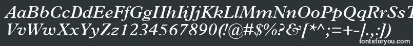 フォントTerminusSsiSemiBoldItalic – 白い文字