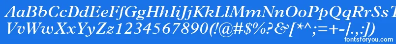 フォントTerminusSsiSemiBoldItalic – 青い背景に白い文字