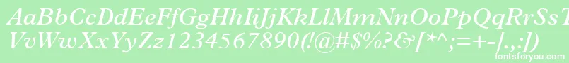 TerminusSsiSemiBoldItalic Font – White Fonts on Green Background