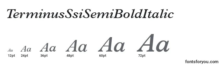 Größen der Schriftart TerminusSsiSemiBoldItalic