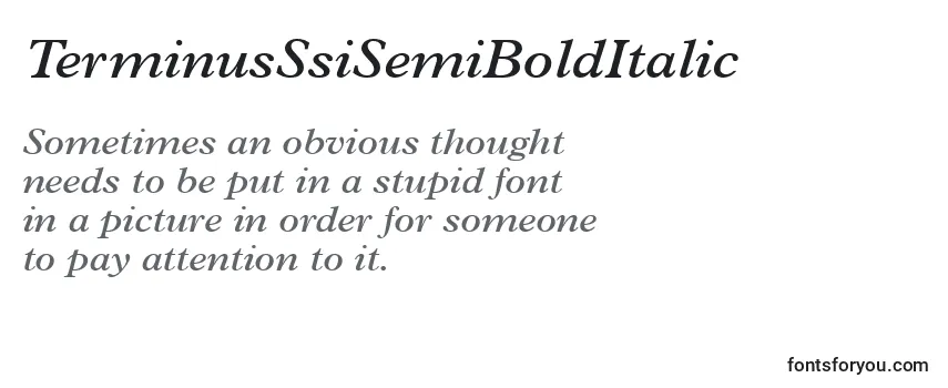 Review of the TerminusSsiSemiBoldItalic Font
