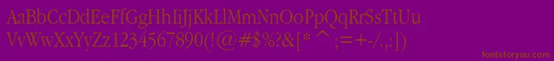 GaramondNarrowPlain.001.022 Font – Brown Fonts on Purple Background