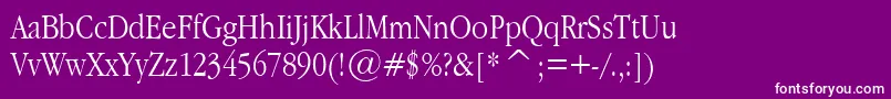 GaramondNarrowPlain.001.022 Font – White Fonts on Purple Background