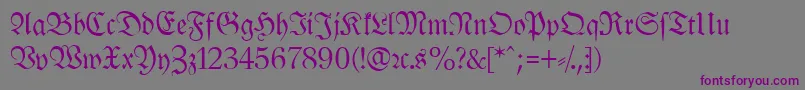 LeipzigFrakturNormal Font – Purple Fonts on Gray Background