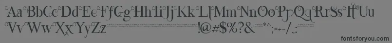 fuente Lefina – Fuentes Negras Sobre Fondo Gris