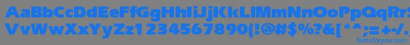 フォントErgoblk – 灰色の背景に青い文字