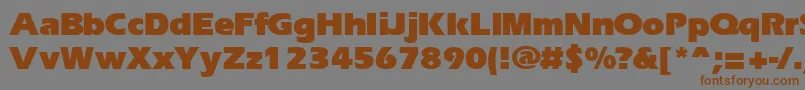 Шрифт Ergoblk – коричневые шрифты на сером фоне