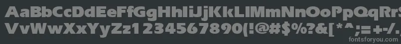 フォントErgoblk – 黒い背景に灰色の文字
