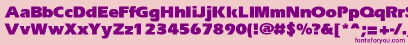 Ergoblk Font – Purple Fonts on Pink Background