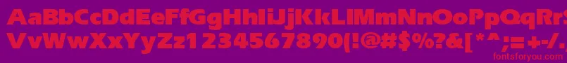 Ergoblk Font – Red Fonts on Purple Background