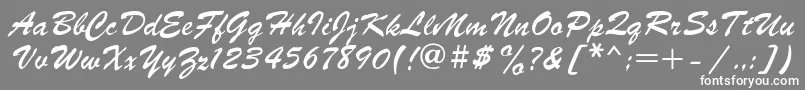 フォントParsek1 – 灰色の背景に白い文字