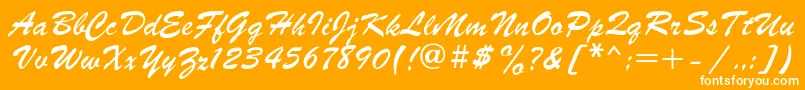 Parsek1 Font – White Fonts on Orange Background
