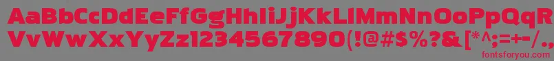 PakenhamkayoRegular Font – Red Fonts on Gray Background